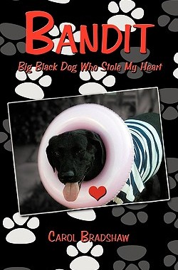 预订 Bandit: Big Black Dog Who Stole My Heart