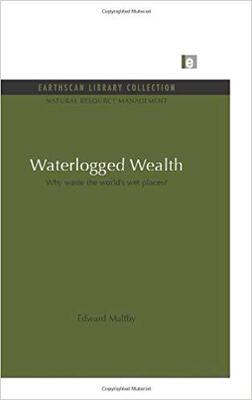 【预售】Waterlogged Wealth