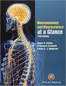【预售】Neuroanatomy And Neuroscience At A G...