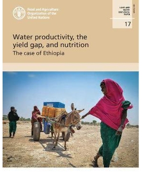 预订 Water Productivity, the Yield Gap, and Nutrition 水生产力、产量差距和营养：埃塞俄比亚的情况: 9789251341452