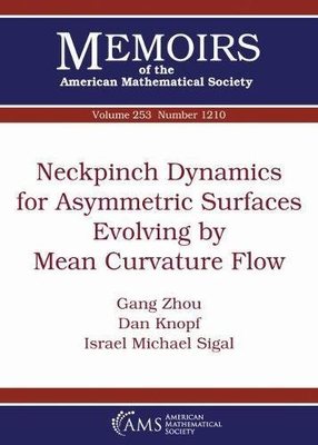 【预售】Neckpinch Dynamics for Asymmetric Surfaces Evolving by Mean Curvature Flow