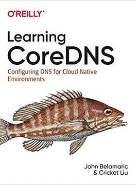 【预售】Learning Coredns: Configuring DNS for Cloud Native Environments