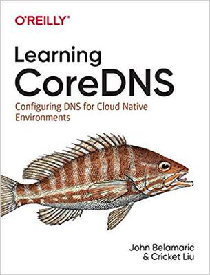 【预售】Learning Coredns: Configuring DNS for Cloud Native Environments