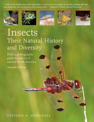 [预订]Insects: Their Natural History and Diversity: With a Photographic Guide to Insects of Eastern North  9781770859623