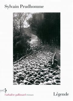 国外库房发货，通常付款后5-8周到货！