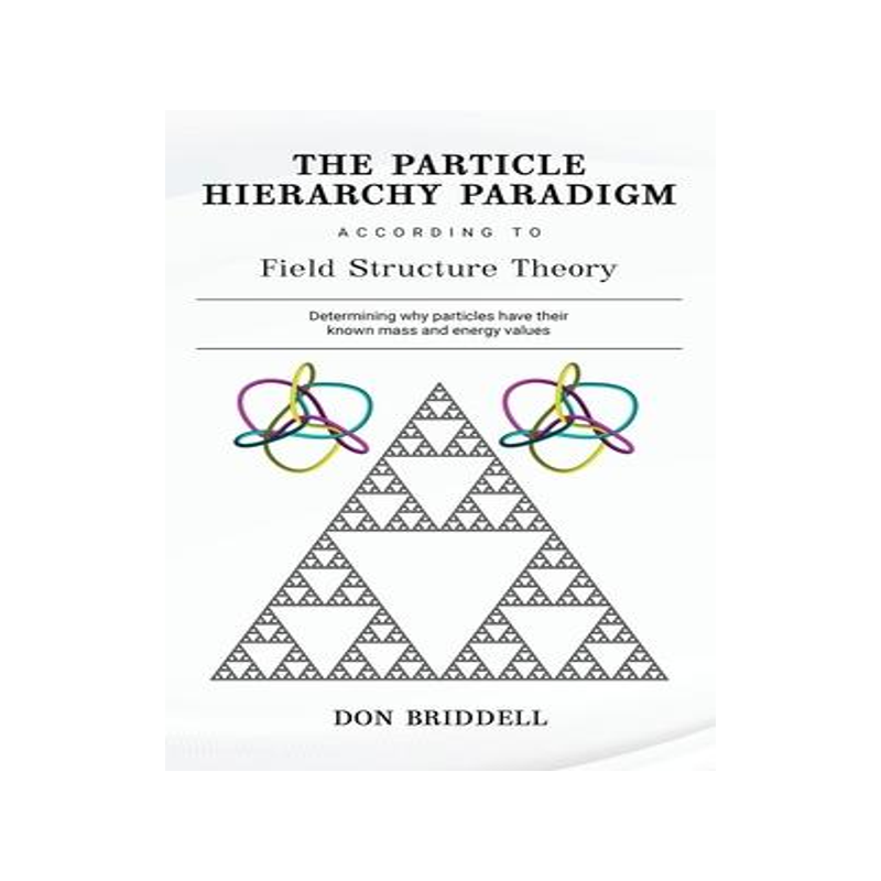 [预订]The Particle Hierarchy Paradigm 9781735704166