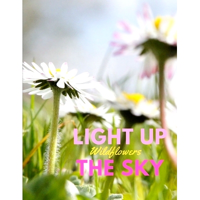 预订 Light Up the Sky Wildflowers: Photobook of Wildflowers: 9781655962257