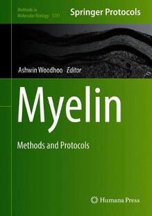 【预订】Myelin