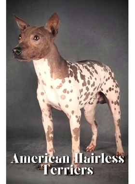 预订 American Hairless Terriers: How to train your dog and raise from puppy correctly: 9798864725313