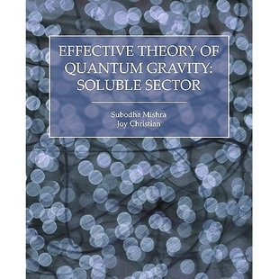 Quantum Gravity 预订 Sector Theory Soluble 9781845494766 Effective