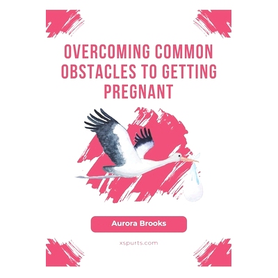 预订 Overcoming Common Obstacles to Getting Pregnant: 9798859334971