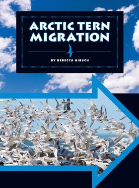 Arctic Tern Migration 北极燕鸥的迁徙: 9781609736163