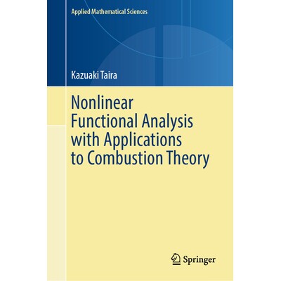 预订 Nonlinear Functional Analysis with Applications to Combustion Theory 非线性泛函分析及其燃烧理论应用 9783031857560