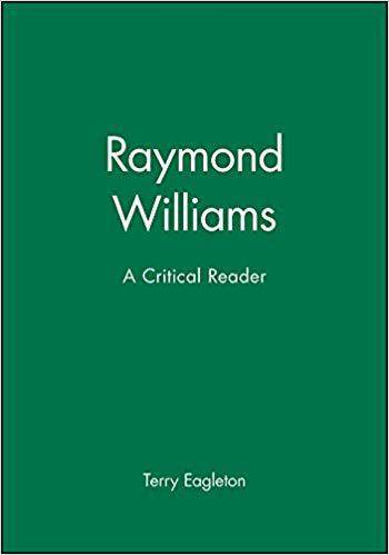 【预售】raymond williams - critical perspectives