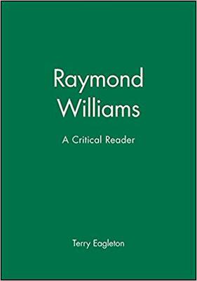 【预售】Raymond Williams - Critical Perspectives