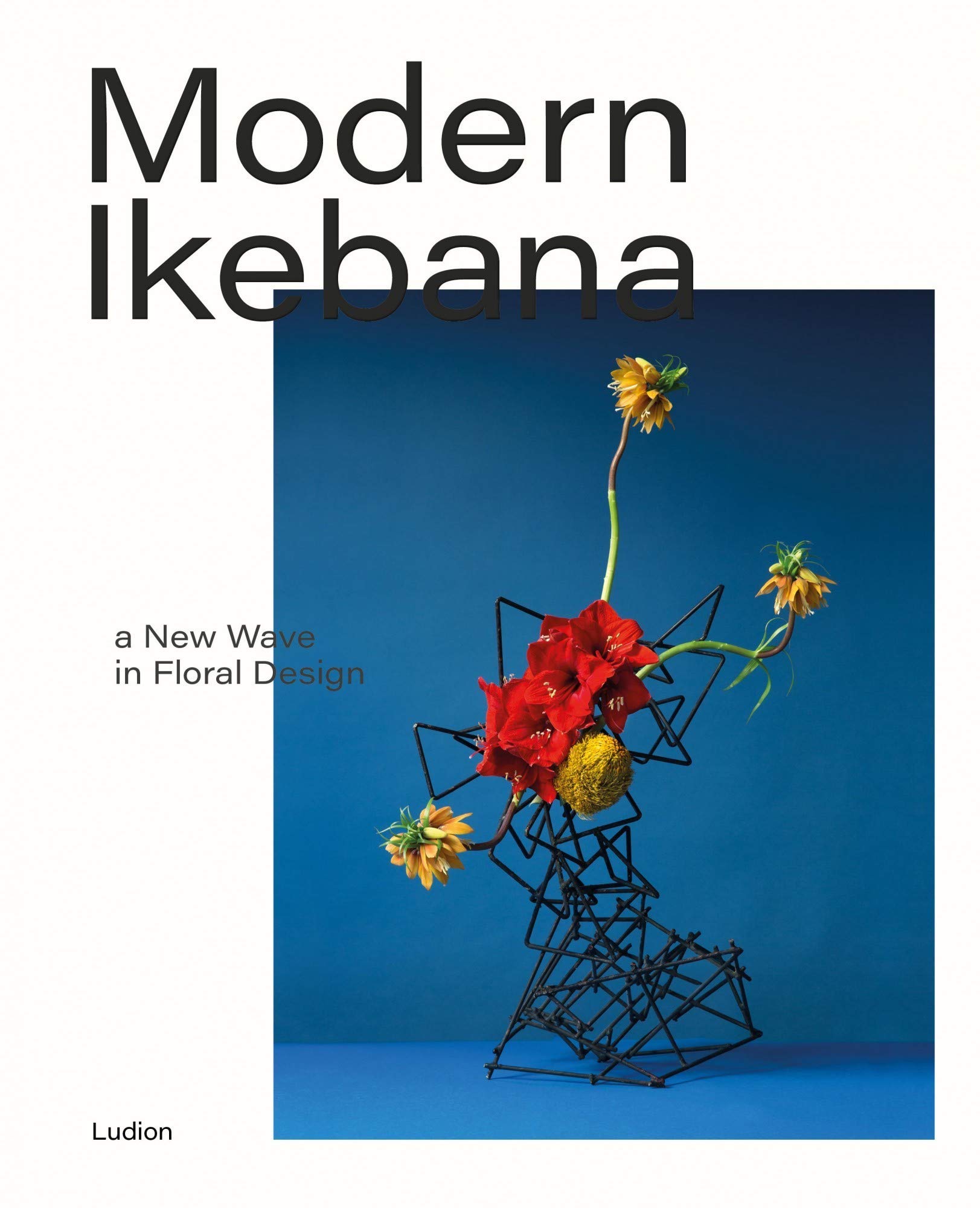现代花道 日本花艺设计的新潮流 modern ikebana: a new wave in