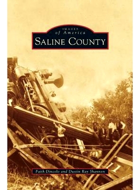 预订 Saline County: 9781531669430