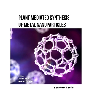 Synthesis 金属纳米颗粒合成 Plant 9789815256369 植物介导 Mediated Nanoparticles 预订 Metal
