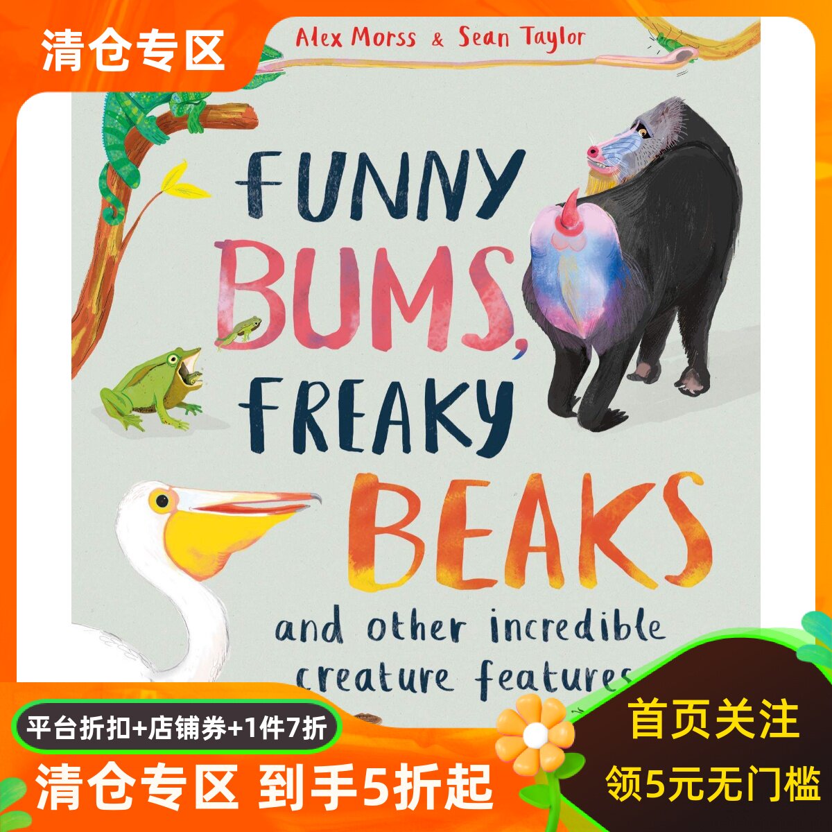 英文原版 动物趣知识 Sarah Edmonds插画 科普绘本 精装 Funny Bums, Freaky Beaks: and Other Incredible Creature Features