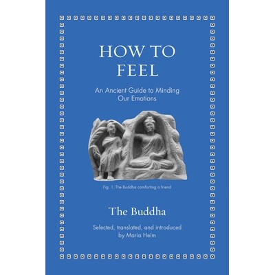 现货 How to Feel: An Ancient Guide to Minding Our Emotions 如何感受：一本古老的情绪管理指南: 9780691267395