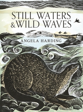 预订 Still Waters & Wild Waves: The Beautiful New Book from Printmaker and Illustrator Angela Harding 静水与狂浪：版画家