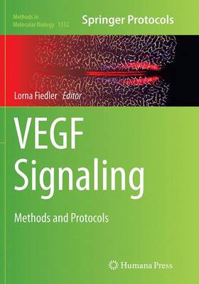【预订】VEGF Signaling