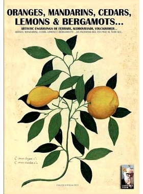 预订 Oranges, mandarins, cedars, lemons & bergamots..: Artistic engravings of Ferrari, Aldrovrandi, Volckhamer...: 97888
