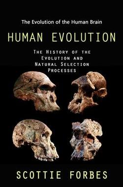 [预订]Human Evolution: The Evolution of the Human Brain (The History of the Evolution and Natural Selectio 9781998038992