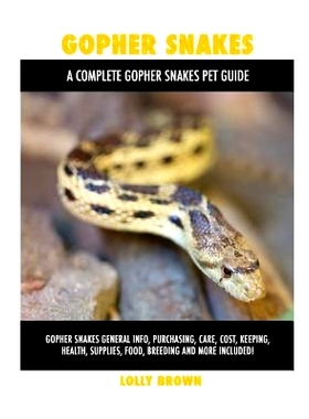 预订 Gopher Snakes: Gopher Snakes General Info, Purchasing, Care, Cost, Keeping, Health, Supplies, Food, Breeding and Mo