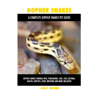 预订 Gopher Snakes: Gopher Snakes General Info, Purchasing, Care, Cost, Keeping, Health, Supplies, Food, Breeding and Mo