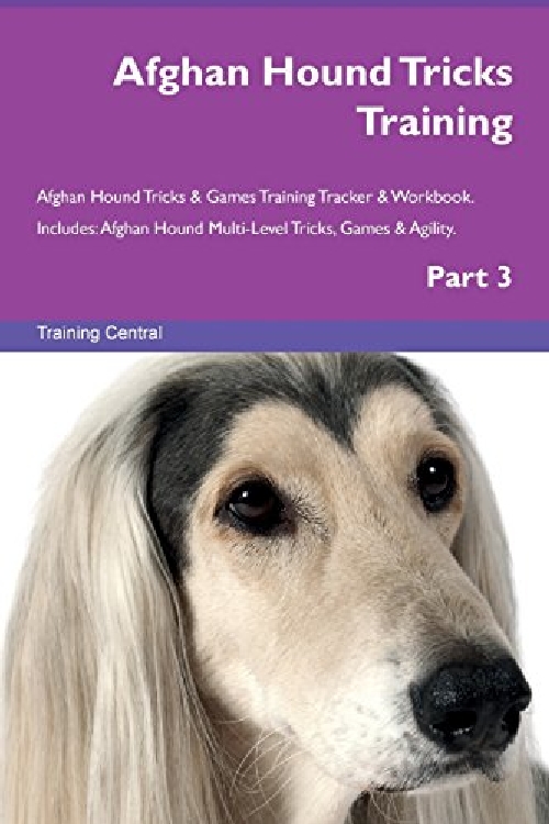 【预订】afghan hound tricks training afghan .