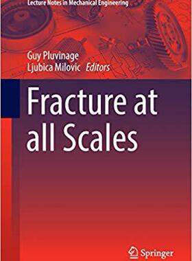 【预售】Fracture at All Scales (Softcover Re...