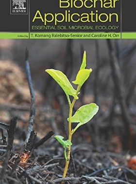 【预订】Biochar Application