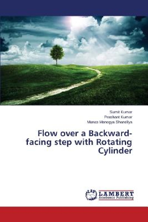 【预订】Flow Over a Backward-Facing Step wit... 书籍/杂志/报纸 原版其它 原图主图