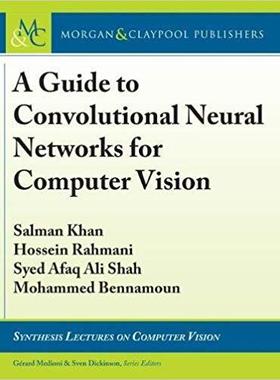 【预售】A Guide to Convolutional Neural Netw...