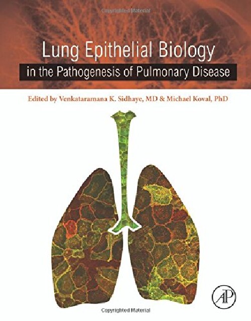 【预订】Lung Epithelial Biology in the Patho...
