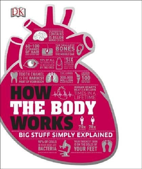 现货 原版进口How the Body Works (Dk Knowledge) 英文原版 DK人体百科全书 精装