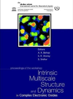 【预订】Intrinsic Multiscale Structure and D...