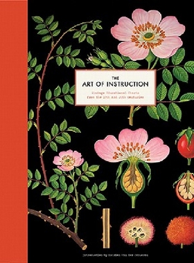 【预订】The Art of Instruction: Vintage Educ...