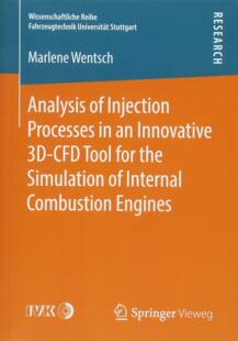Analysis Injection Processes a... 预售