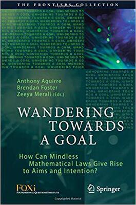 【预售】Wandering Towards a Goal