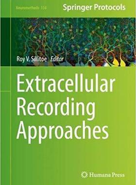 【预售】Extracellular Recording Approaches