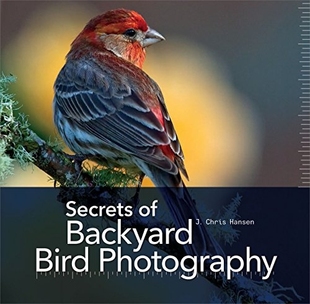 预订 Bird Secrets Backyard Photography...