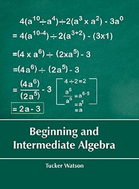 【预订】Beginning and Intermediate Algebra