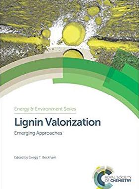 【预售】Lignin Valorization: Emerging Approa...