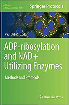 【预售】ADP-ribosylation and NAD+ Utilizing ...