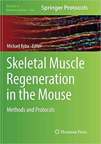 【预售】skeletal muscle regeneration in the .