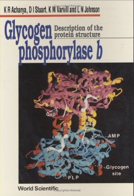 【预订】Glycogen Phosphorylase B