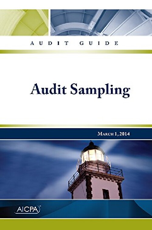 【预订】Audit Guide