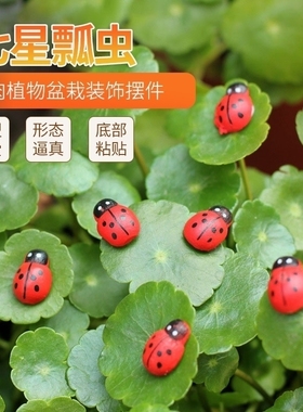 微景观摆件花卉绿植木质工艺品多肉装饰品园艺盆栽造景七星瓢虫